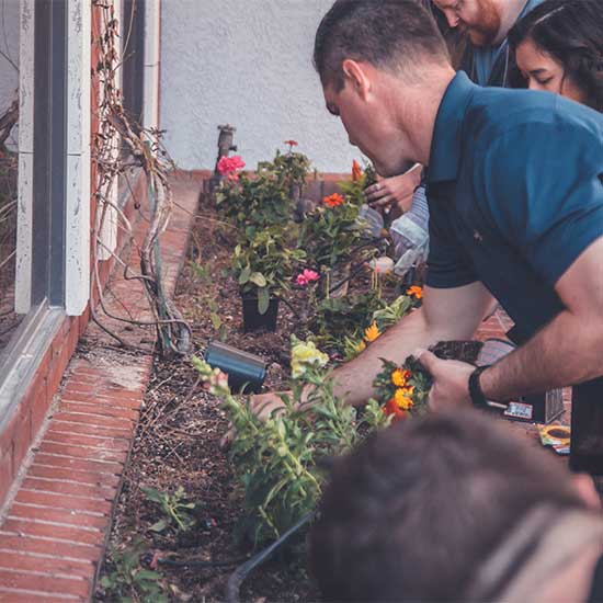 Landscaping services in North Georgia